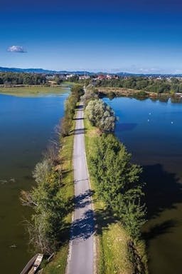 Rače